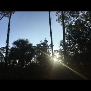 Meet your Posher, Alexa